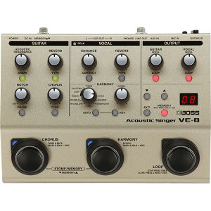 Roland/VE-8