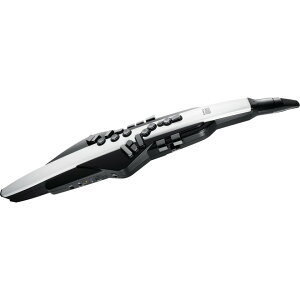 Roland/Aerophone AE-20