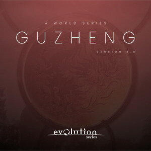 EVOLUTION SERIES/WORLD STRINGS GUZHENG 2.0�y�I�����C���[�i�z�y�݌ɂ���z