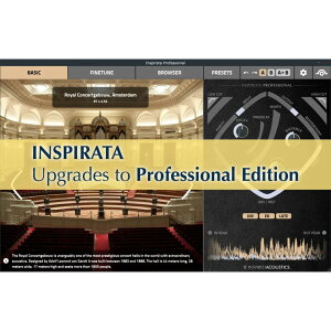Inspired Acoustics/Inspirata Personal to Professional UpgradeyIC[iz