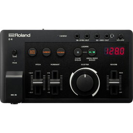 Roland/E-4 VOICE TWEAKER