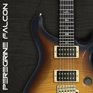 AMPLE SOUND/AMPLE GUITAR PF IIIyIC[izy݌ɂz
