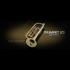 贈答品 音楽の都ウィーンの トランペットミュート C管 音源 Vienna Symphonic C MUTED TRUMPET VIENNA 数量限定 Library