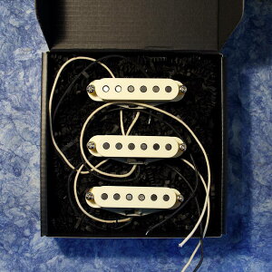 Total Gravy Guitarworks/69 Strat Set / Aged�y�����񂹏��i�z