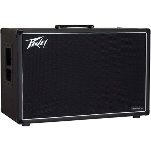 PEAVEY/invective.212y񂹏iz