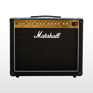 Marshall/DSL40Cy񂹏iz