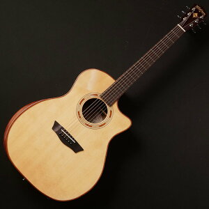 Washburn/G20SCE�y�݌ɂ���z
