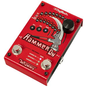 DigiTech/HammerOn�y�݌ɂ���z�y���������z
