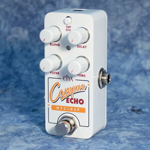 Electro-Harmonix/PICO CANYON ECHO【お取り寄せ商品】【送料無料】