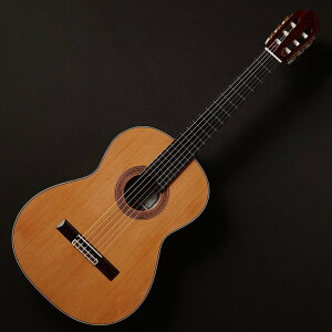 KODAIRA/AST-85Ly݌ɂz