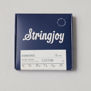 Stringjoy/Signatures Custom Gauge for R325 (12-54)�y�݌ɂ���z