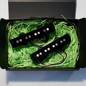 EVERTONE PICKUP/NEWTONE JB4 Set【在庫あり】