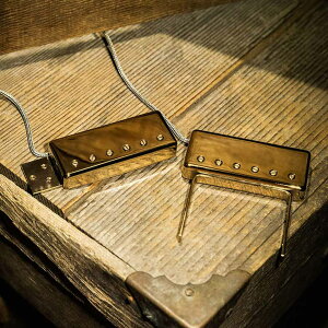 LOLLAR PICKUPS/Johnny Smith Style Humbucker�yGold Cover�z�y�����񂹏��i�z