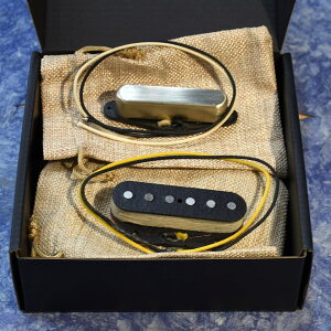 Total Gravy Guitarworks/Blackguard Sety񂹏iz