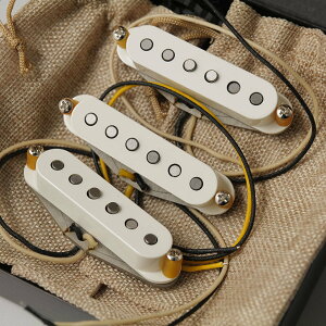 Total Gravy Guitarworks/60s Greybottom Set Parchment Cover�y�݌ɂ���z