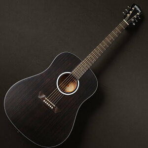 Washburn/EBONY DyB MGKzy݌ɂzy2508G1z