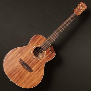 Washburn/G-MINI 55 KOAy񂹏iz