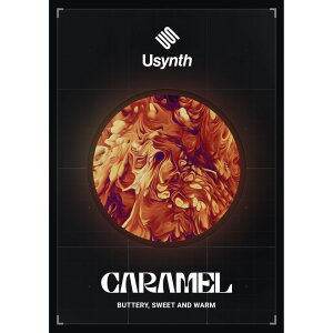 UJAM/Usynth CARAMEL�y�`05/13 ���Ԍ�������L�����y�[���z�y�I�����C���[�i�z