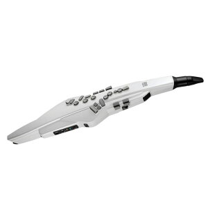 Roland/Aerophone AE-20W