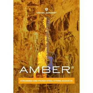 UJAM/VIRTUAL GUITARIST AMBER 2�y�`05/13 ���Ԍ�������L�����y�[���z�y�I�����C���[�i�z