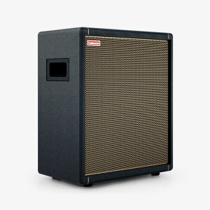Positive Grid/Spark CAB