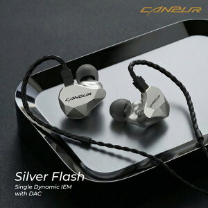 Canpur/Silver Flash�y���ב҂��z�y���\���t���z�y����\��[���F5�����{�ȍ~�z