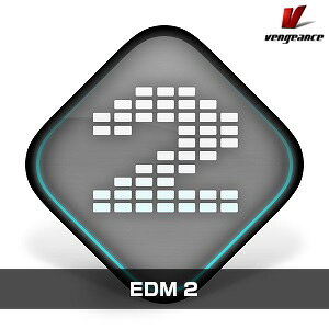 VENGEANCE SOUND/EDM 2�y�I�����C���[�i�z�y�݌ɂ���z