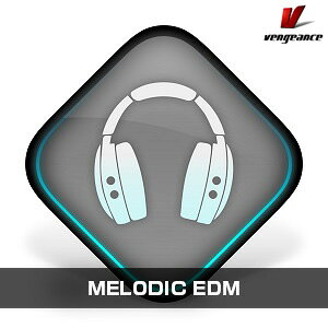 VENGEANCE SOUND/MELODIC EDM�y�`01/12 ���Ԍ�������L�����y�[���z�y�I�����C���[�i�z�y�݌ɂ���z