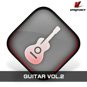 VENGEANCE SOUND/GUITARS VOL.2�y�I�����C���[�i�z�y�݌ɂ���z