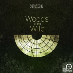 BEST SERVICE/TO - WOODS OF THE WILD�y�I�����C���[�i�z�y�݌ɂ���z
