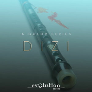EVOLUTION SERIES/WORLD COLORS DIZIy`12/09 ԌLy[zyIC[izy݌ɂz