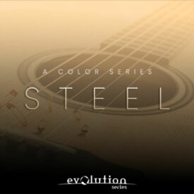 EVOLUTION SERIES/PREPARED COLORS STEEL【オンライン納品】