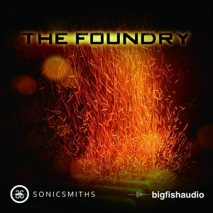 BIG FISH AUDIO/THE FOUNDRYy`11/03 ԌLy[zyIC[izy݌ɂz