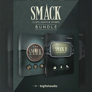 BIG FISH AUDIO/SMACK BUNDLE�y�I�����C���[�i�z