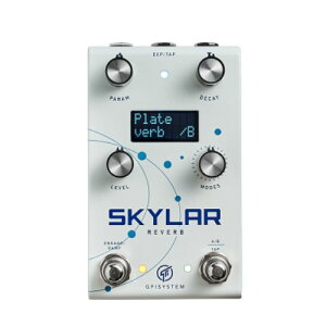 GFI SYSTEM/SKYLARy񂹏iz