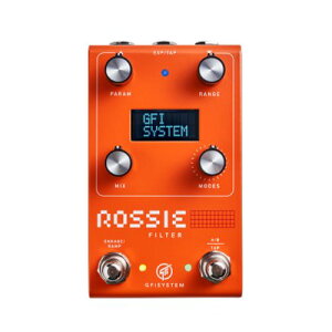 GFI SYSTEM/ROSSIEy񂹏iz