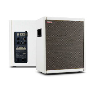 Positive Grid/Spark CAB Pearl