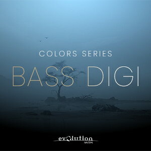 EVOLUTION SERIES/WORLD COLORS BASS DIZIy`12/09 ԌLy[zyIC[izy݌ɂz
