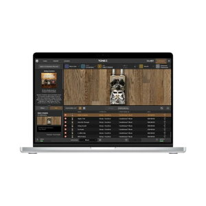 IK Multimedia/TONEX Boutique OverdrivesyIC[iz