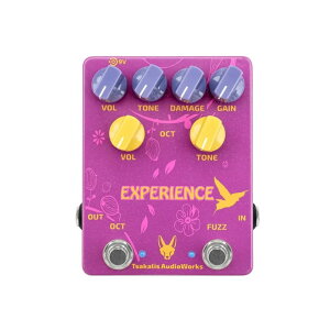 Tsakalis AudioWorks/Experience