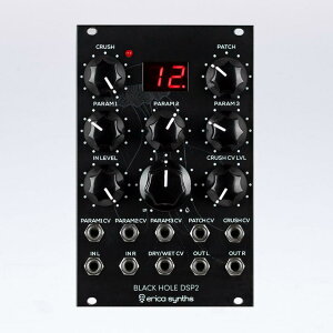 Erica Synths/Black Hole DSP 2【お取り寄せ商品】【WTG】