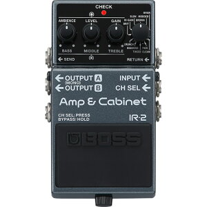 BOSS/IR-2 Amp & Cabinet