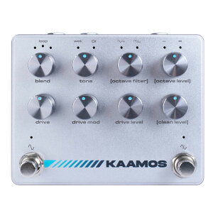 Darkglass Electronics/KAAMOSy݌ɂz