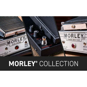 IK Multimedia/AmpliTube Morley CollectionyIC[iz