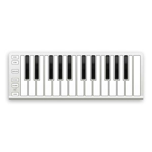 ESIAudiotechnik/Xkey Air 25y݌ɂz