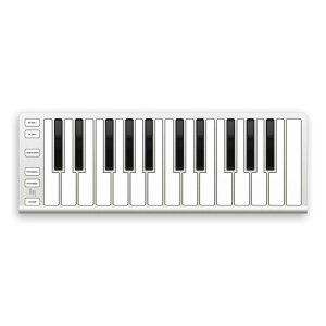 ESIAudiotechnik/Xkey 25