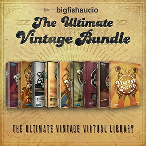 BIG FISH AUDIO/THE ULTIMATE VINTAGE BUNDLE�y�I�����C���[�i�z�y�݌ɂ���z
