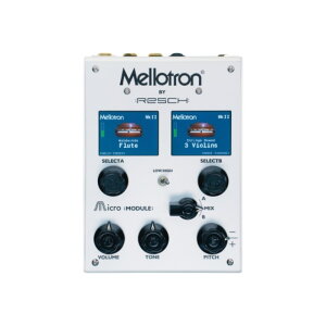Mellotron/Micro Module