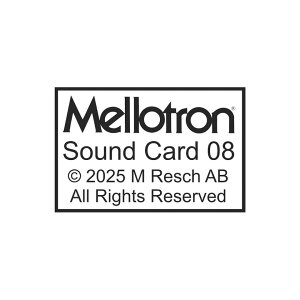 Mellotron/Sound Card 08