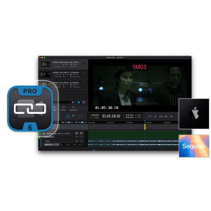 Non-Lethal Applications/Video Sync 6 ProyIC[izy݌ɂzy2508R1z